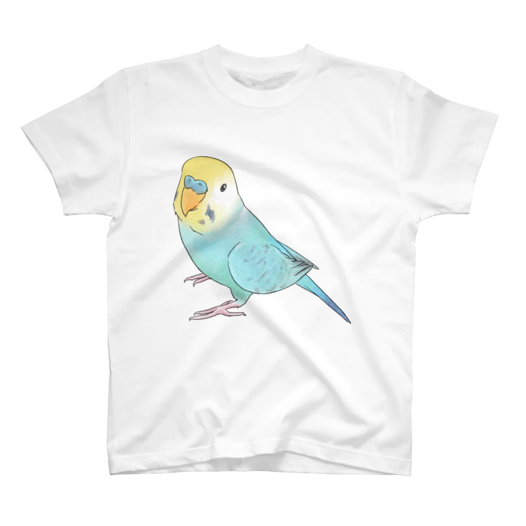 まめるりはことりの見上げるセキセイインコちゃん【まめるりはことり】 スタンダードTシャツ