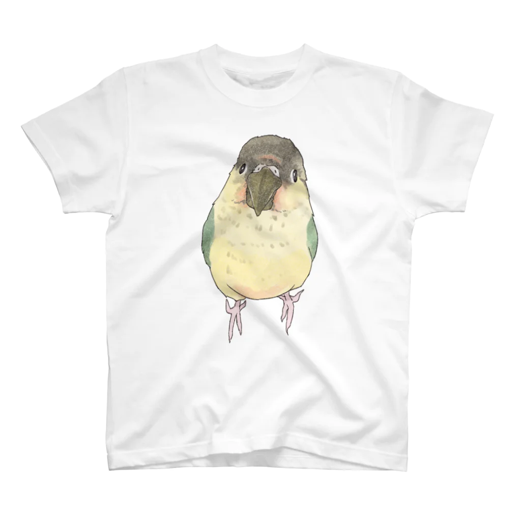 まめるりはことりの可愛いウロコメキシコインコちゃん【まめるりはことり】 スタンダードTシャツ