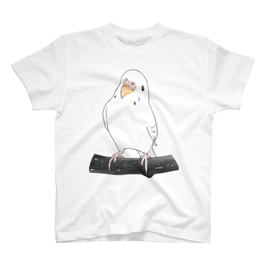 まめるりはことりのまったりセキセイインコちゃん【まめるりはことり】 Regular Fit T-Shirt