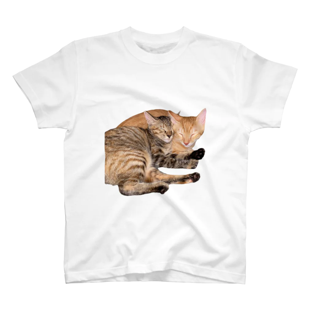 ChoboTora24の眠り猫ちゃん達 スタンダードTシャツ