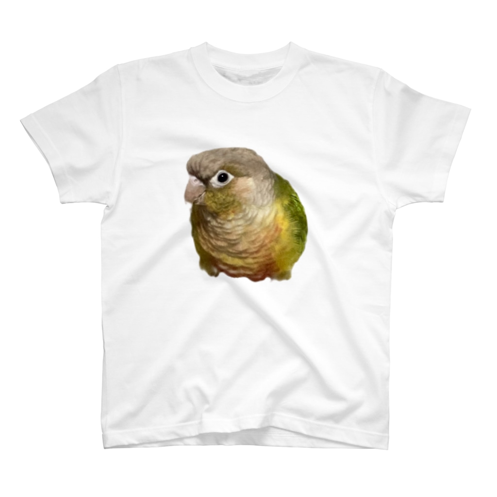 ホオミドリアカオウロコインコ パインちゃん クレーンゲーム Kurengame1 のスタンダードtシャツ通販 Suzuri スズリ