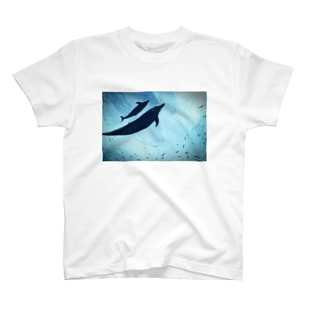 K-aquariumの空飛ぶイルカ Regular Fit T-Shirt