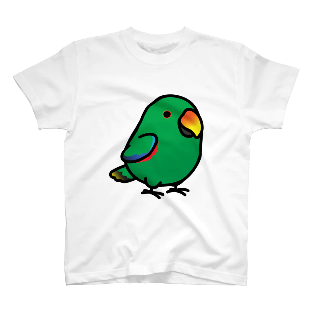 Cody the LovebirdのChubby Bird オオハナインコ スタンダードTシャツ