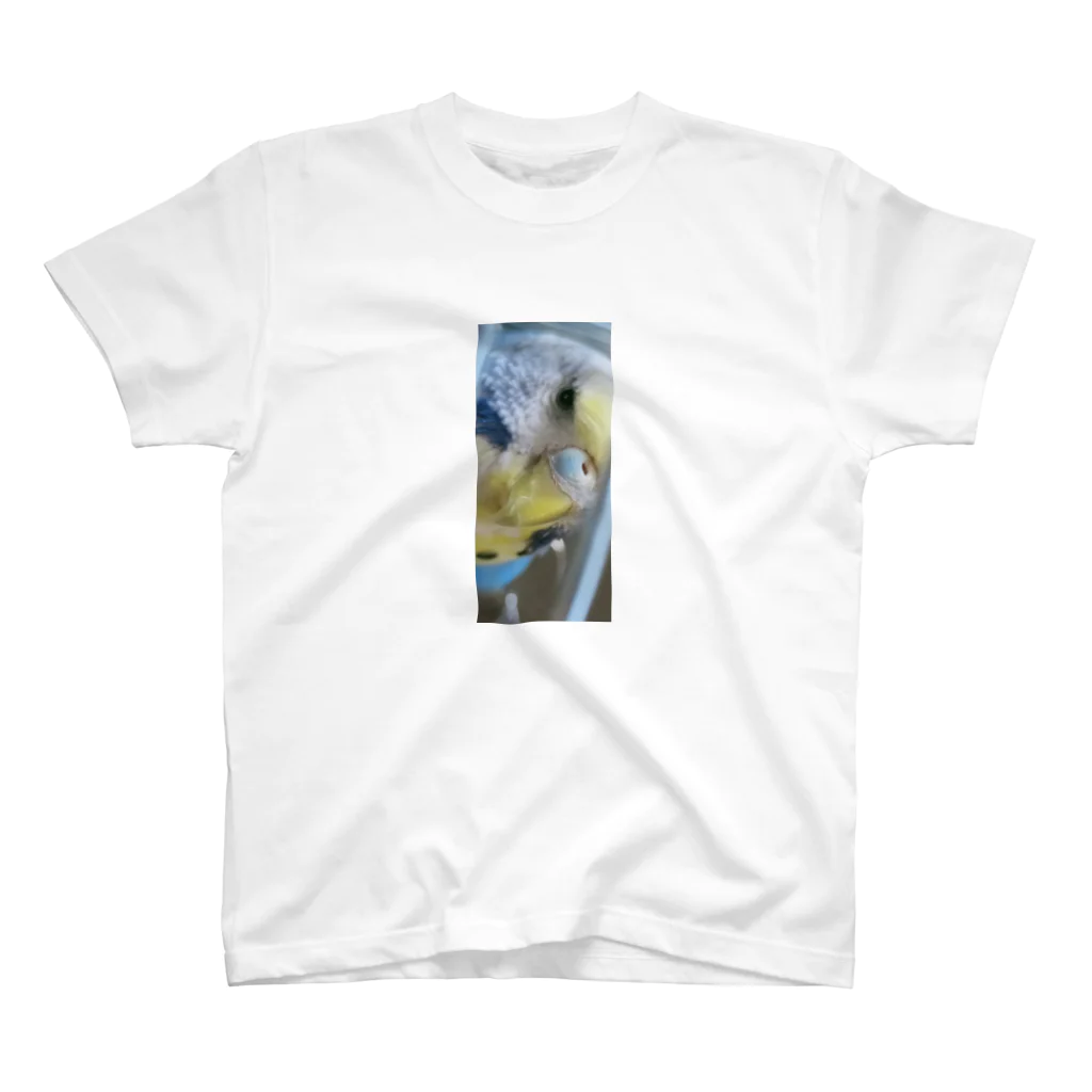 束月ハオルチアのめんちきれるたいぷのインコ スタンダードTシャツ