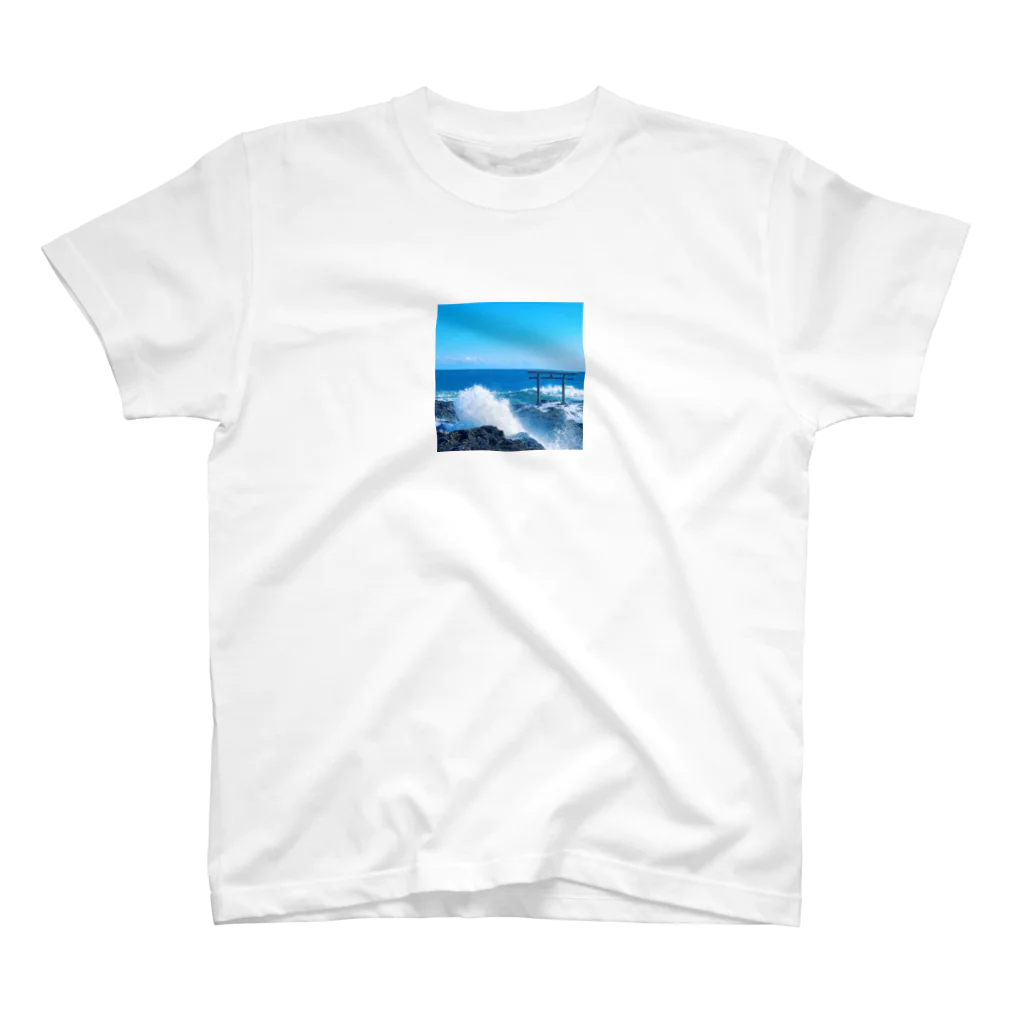 appleikoのjapanease ocean スタンダードTシャツ