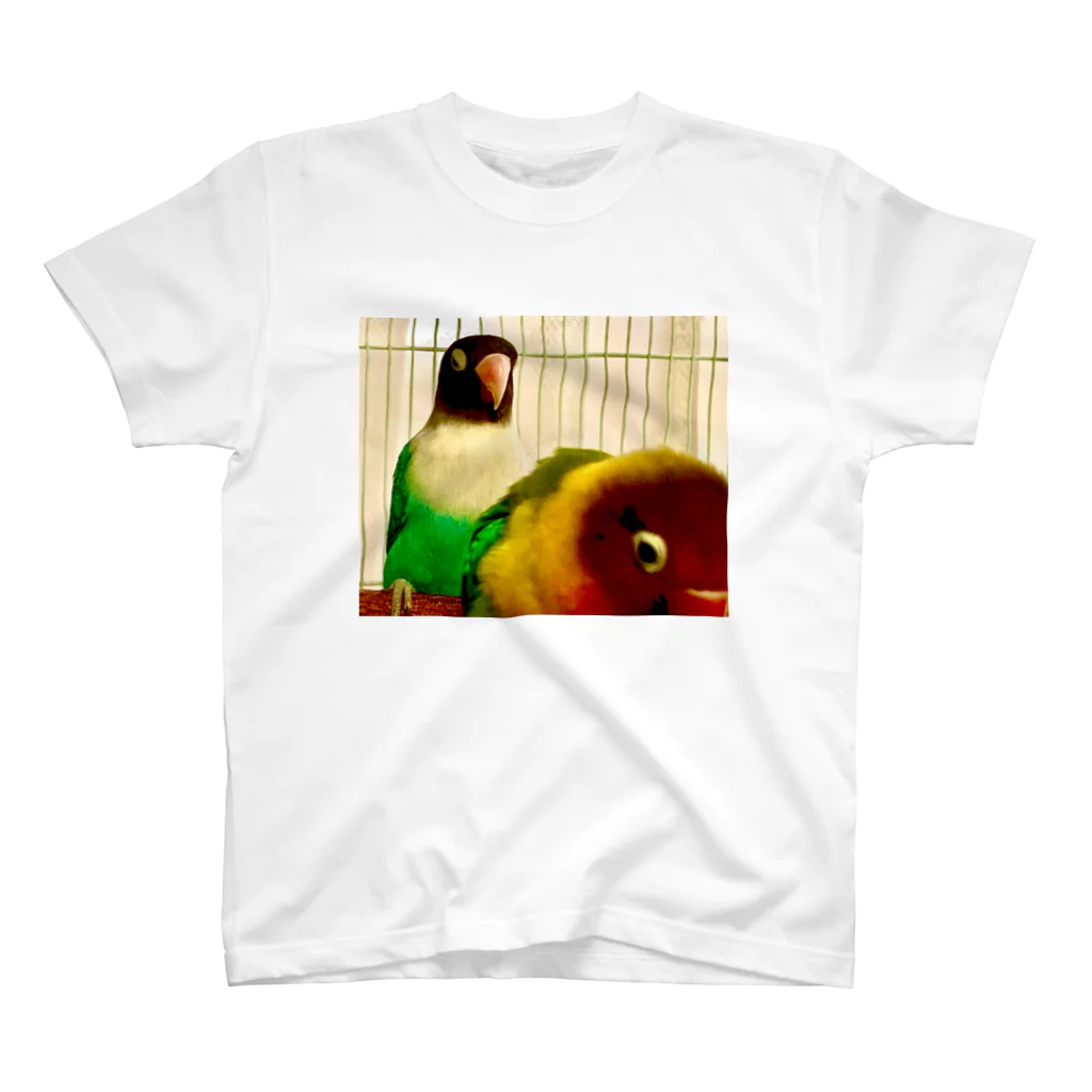 BLIND ALLEYの怒りのボタンインコ スタンダードTシャツ