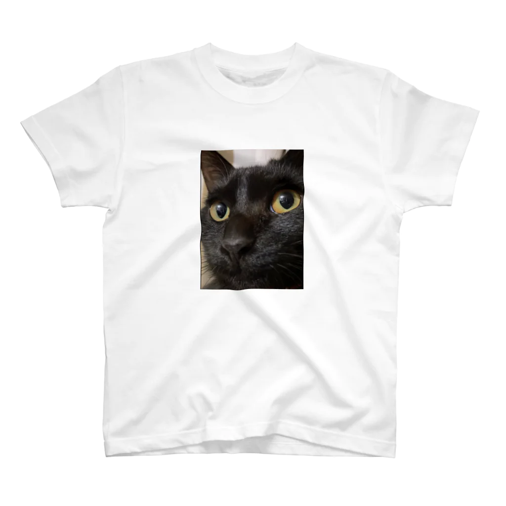 サンサウンドの黒猫天ちゃん Regular Fit T-Shirt