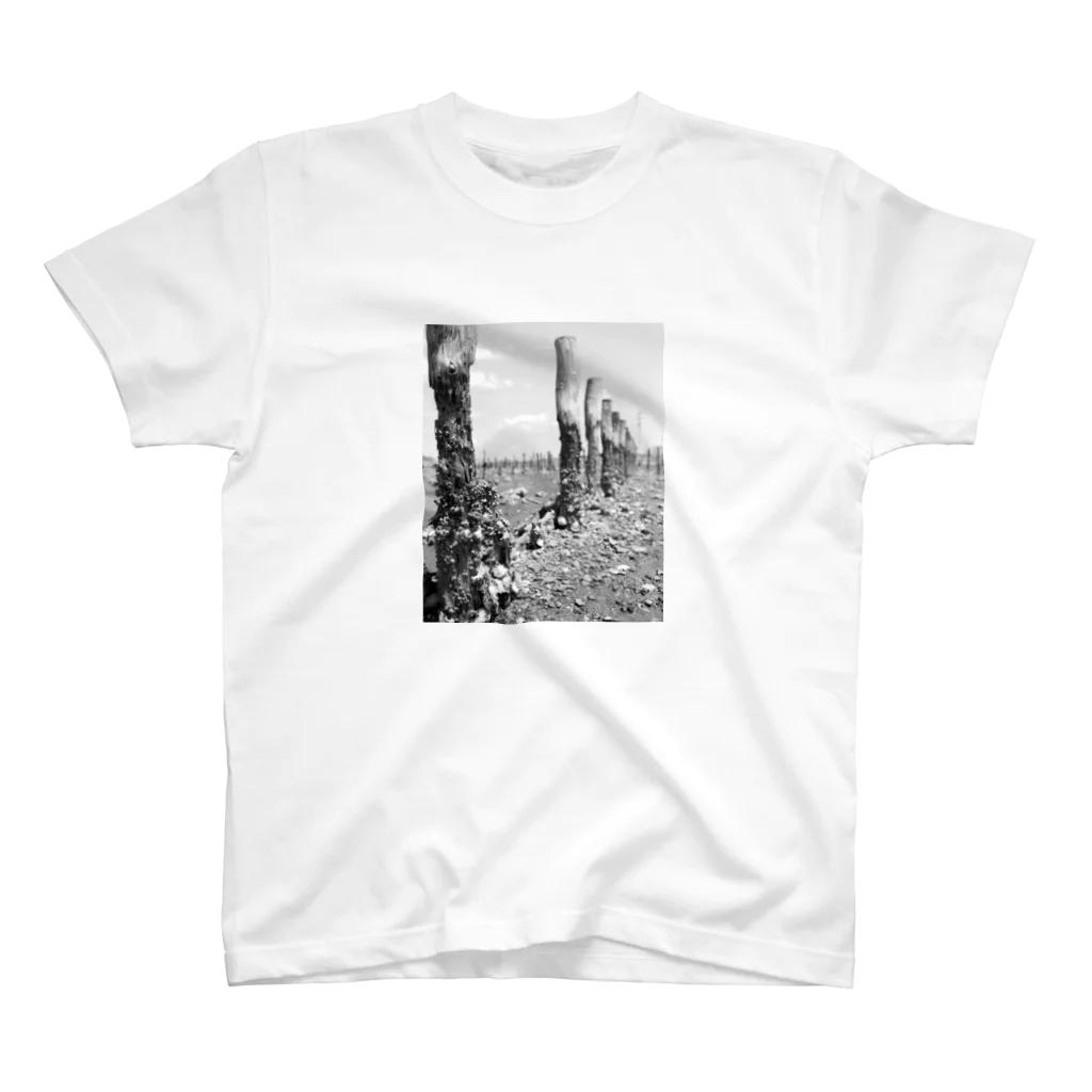 Tokyo StyleのRiver Side スタンダードTシャツ