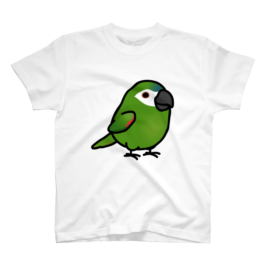 Cody the LovebirdのChubby Bird　コミドリコンゴウインコ Regular Fit T-Shirt