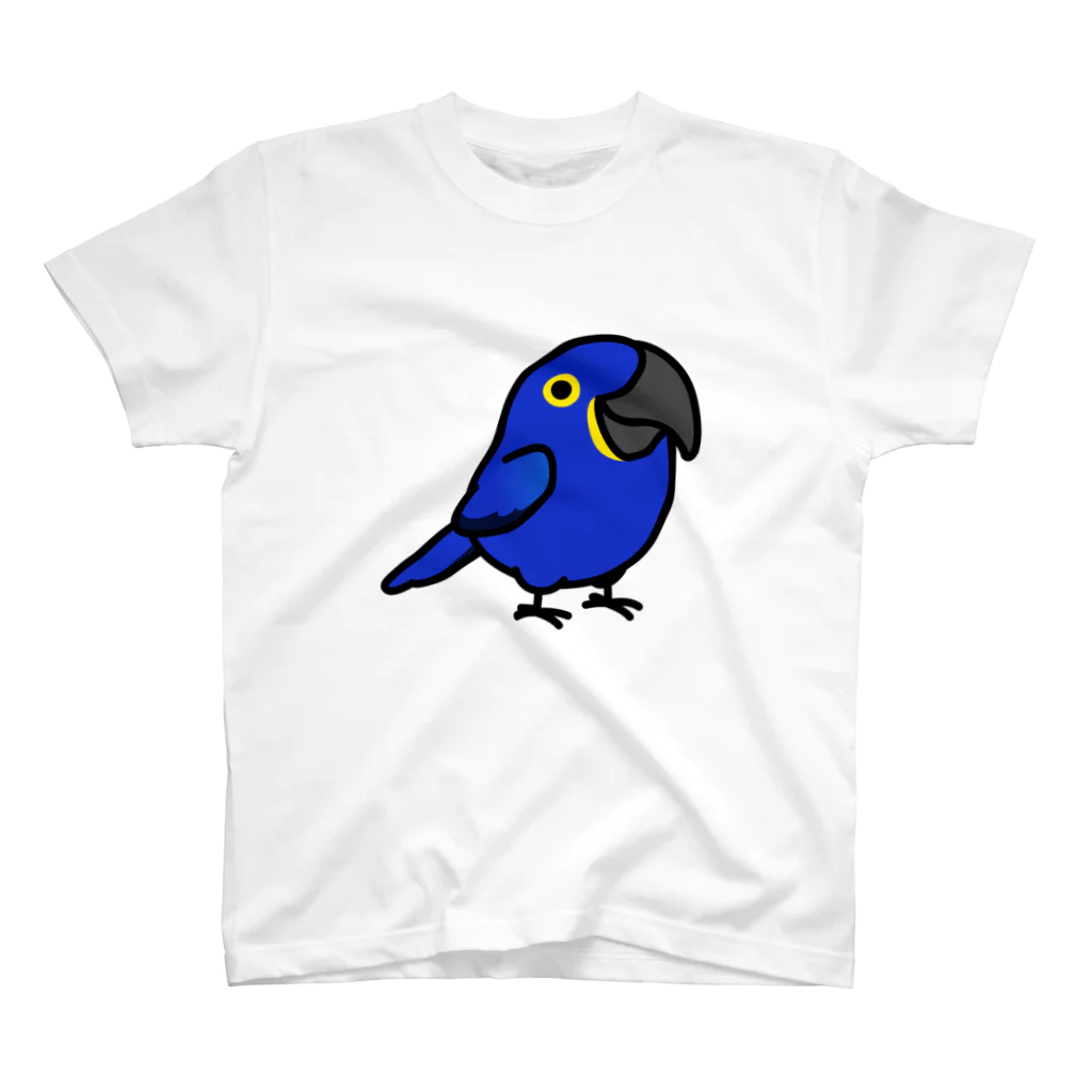 Cody the LovebirdのChubby Bird スミレコンゴウインコ スタンダードTシャツ