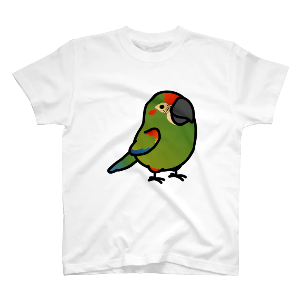 Cody the LovebirdのChubby Bird アカミミコンゴウインコ スタンダードTシャツ