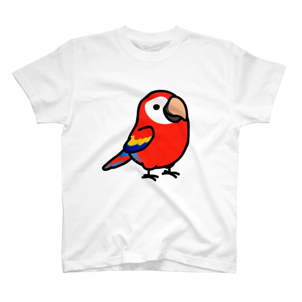 Cody the LovebirdのChubby Bird　アカコンゴウインコ スタンダードTシャツ