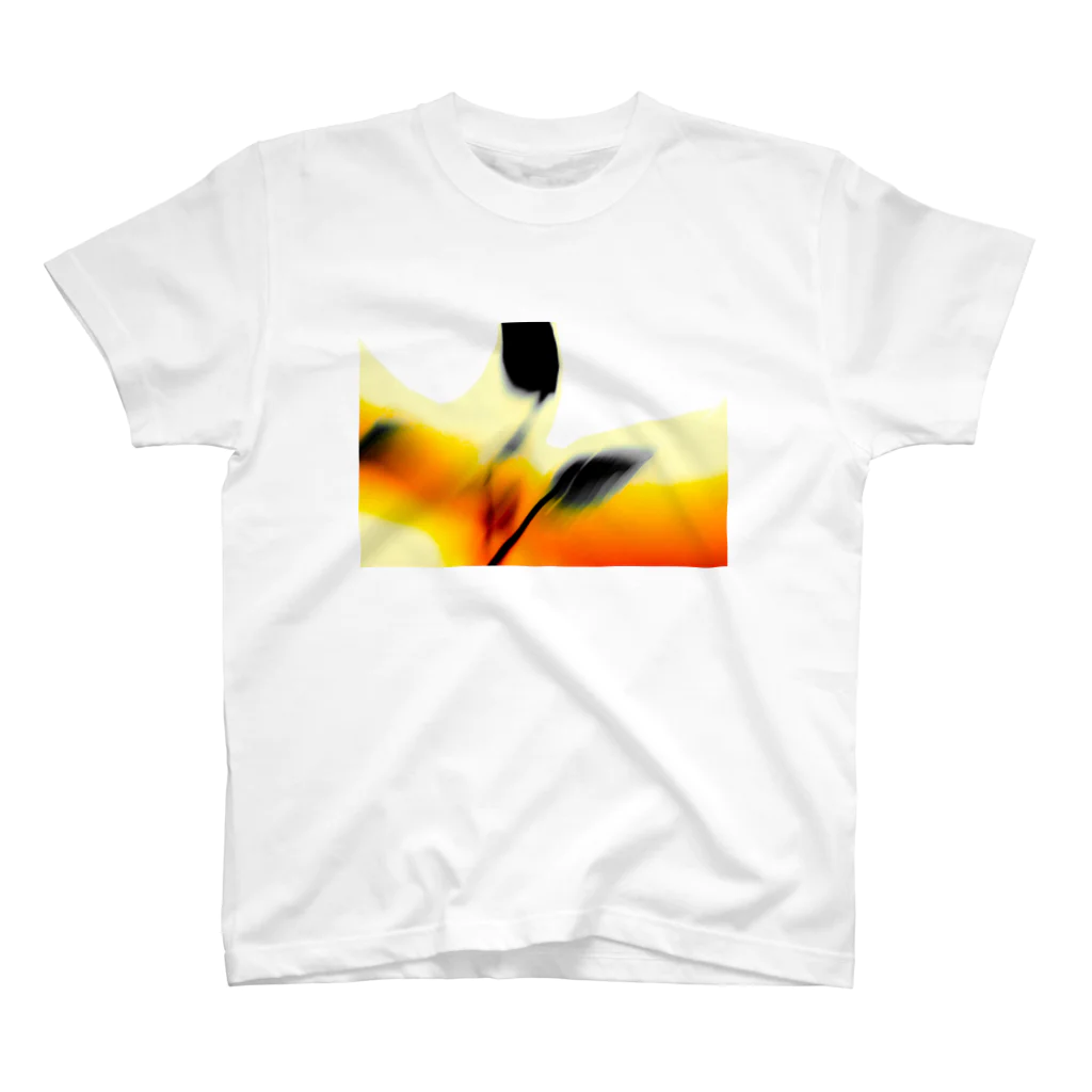 Roberto da Costaのabstratc aragon nature スタンダードTシャツ