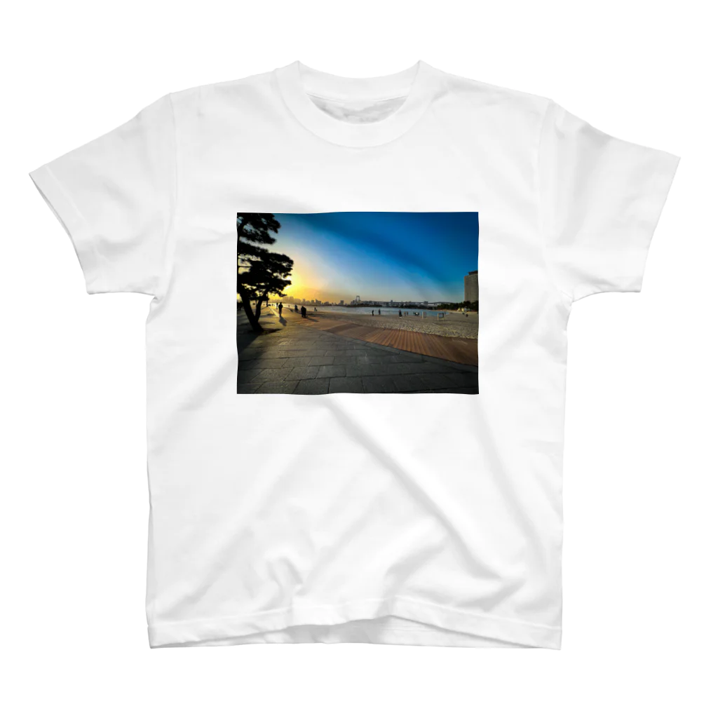 thekazuのお台場海浜公園 Regular Fit T-Shirt