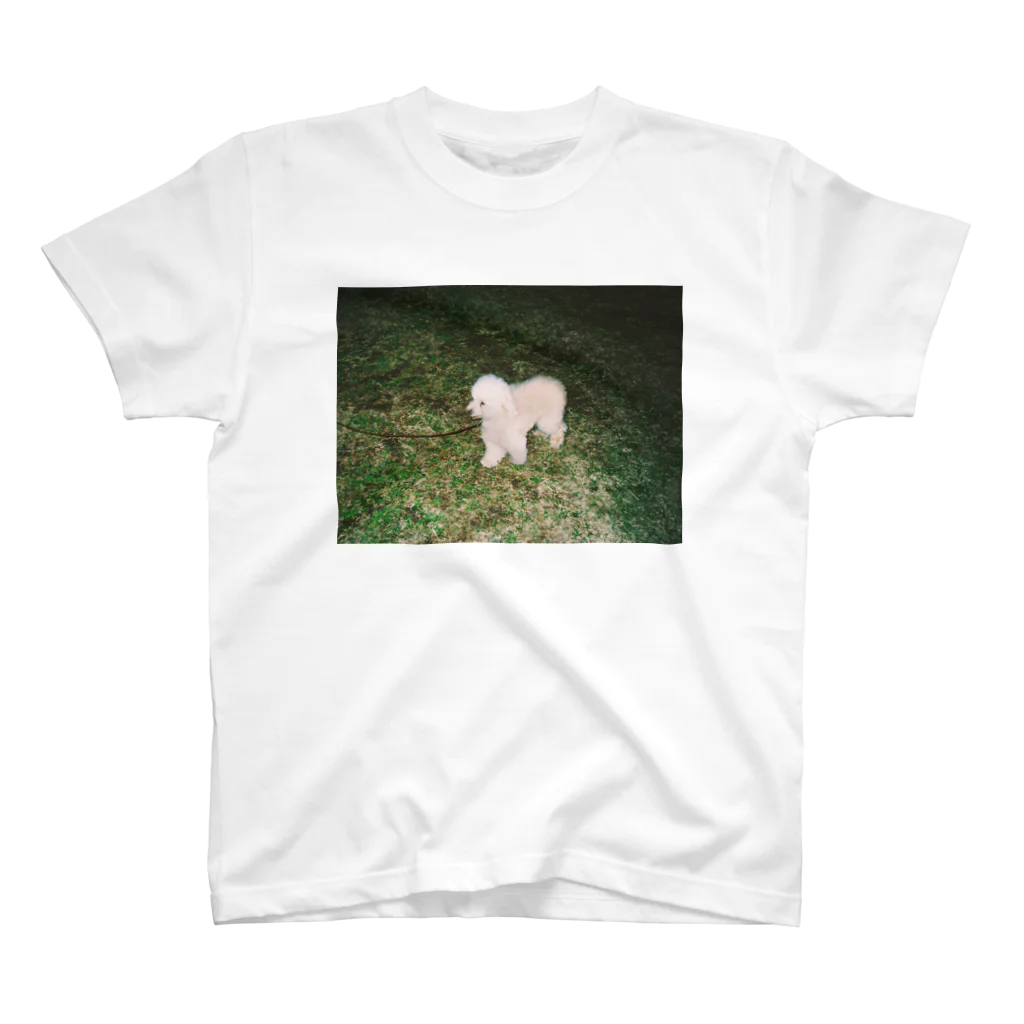 osayuのよその犬 スタンダードTシャツ