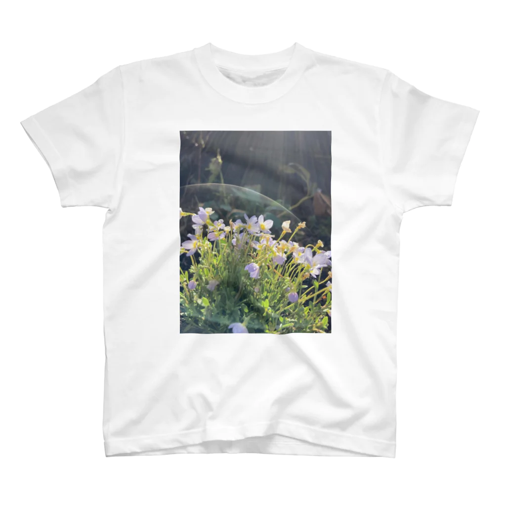 💖宇宙整体♪🌈♪こころからだチャンネル♪💖の植物のオーラ Regular Fit T-Shirt