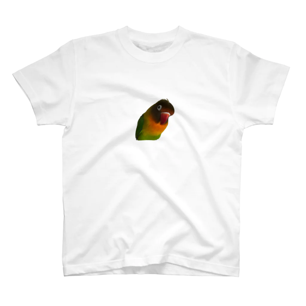 sambarumba-lovebirdのlove bird samba スタンダードTシャツ