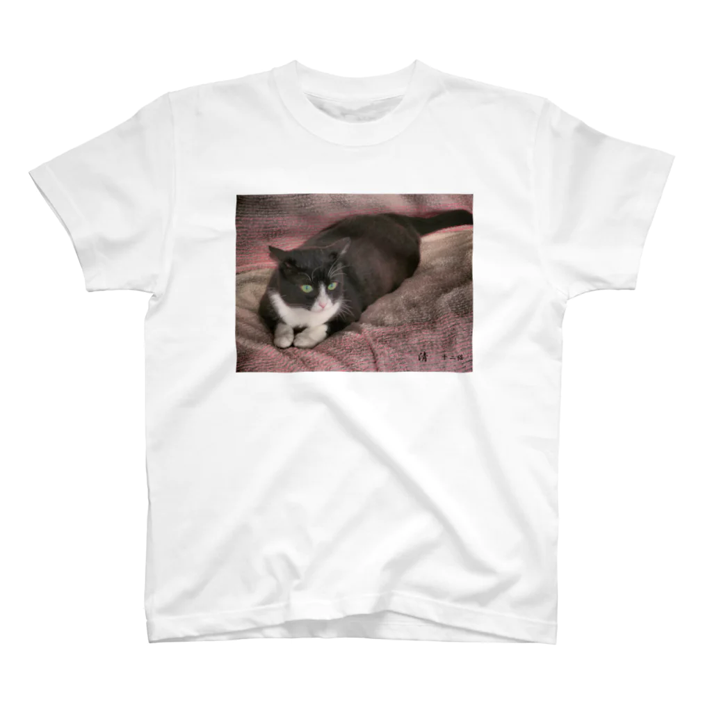 12cats-12secondsの見つめる清のTシャツ スタンダードTシャツ