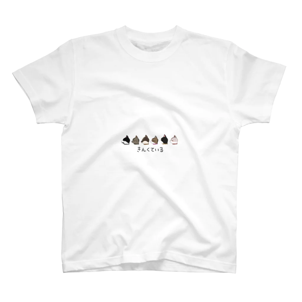 きんくているのきんくている🐾 スタンダードTシャツ