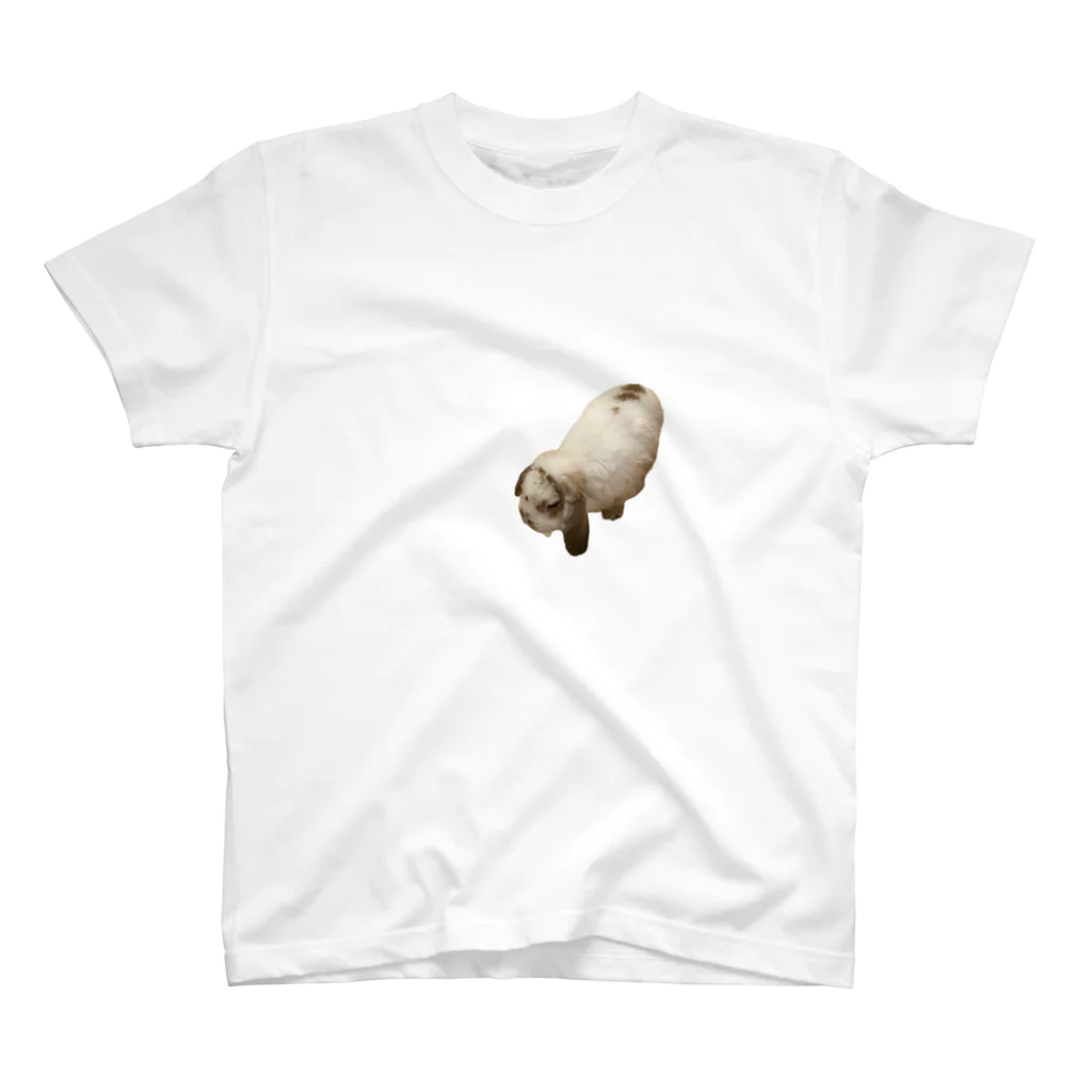 my pet shopの真ん中に寄れないうさぎ Regular Fit T-Shirt