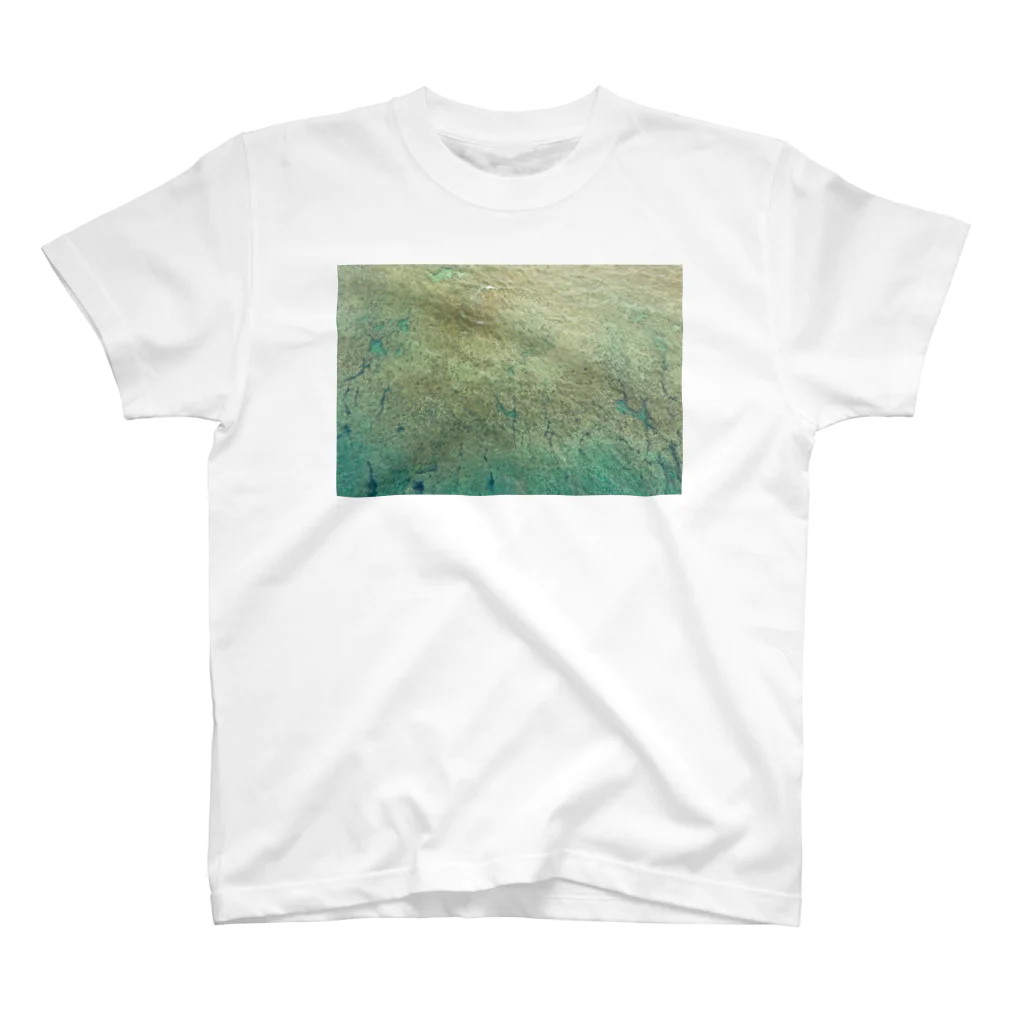 coyote brandのcoyote brand Drone shot T-shirts スタンダードTシャツ