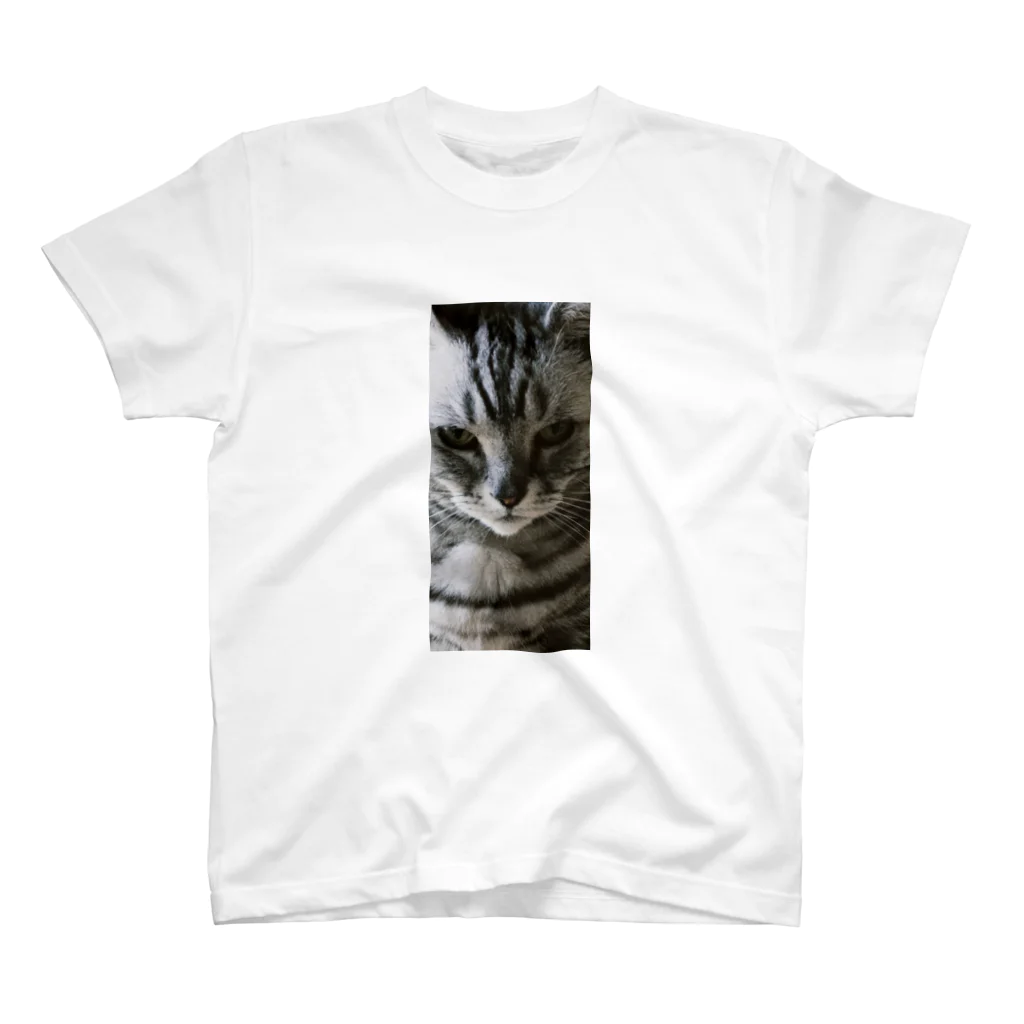 ポメラニアンの福(9歳)のミィちゃん(16歳)(寄り) Regular Fit T-Shirt