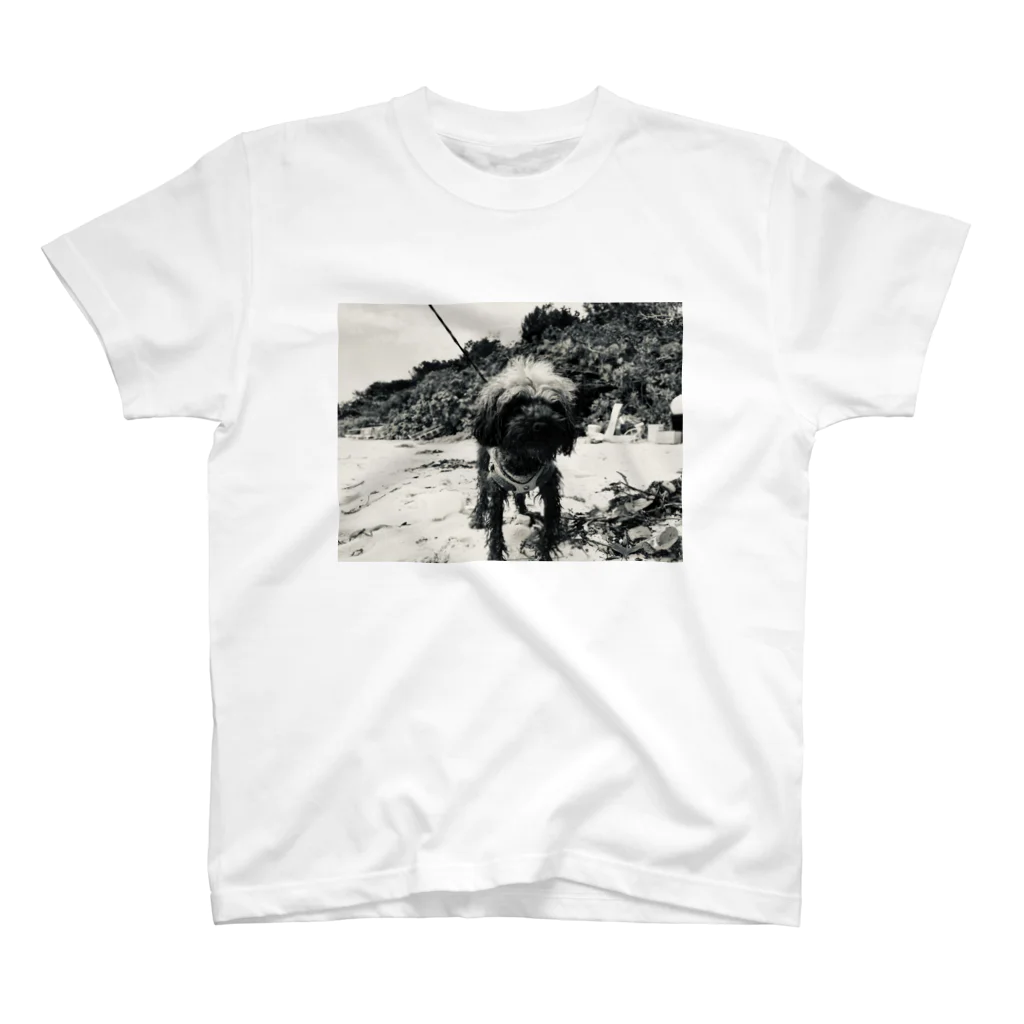 god < dog <<<< eiのWorldwide dog in beach  Regular Fit T-Shirt