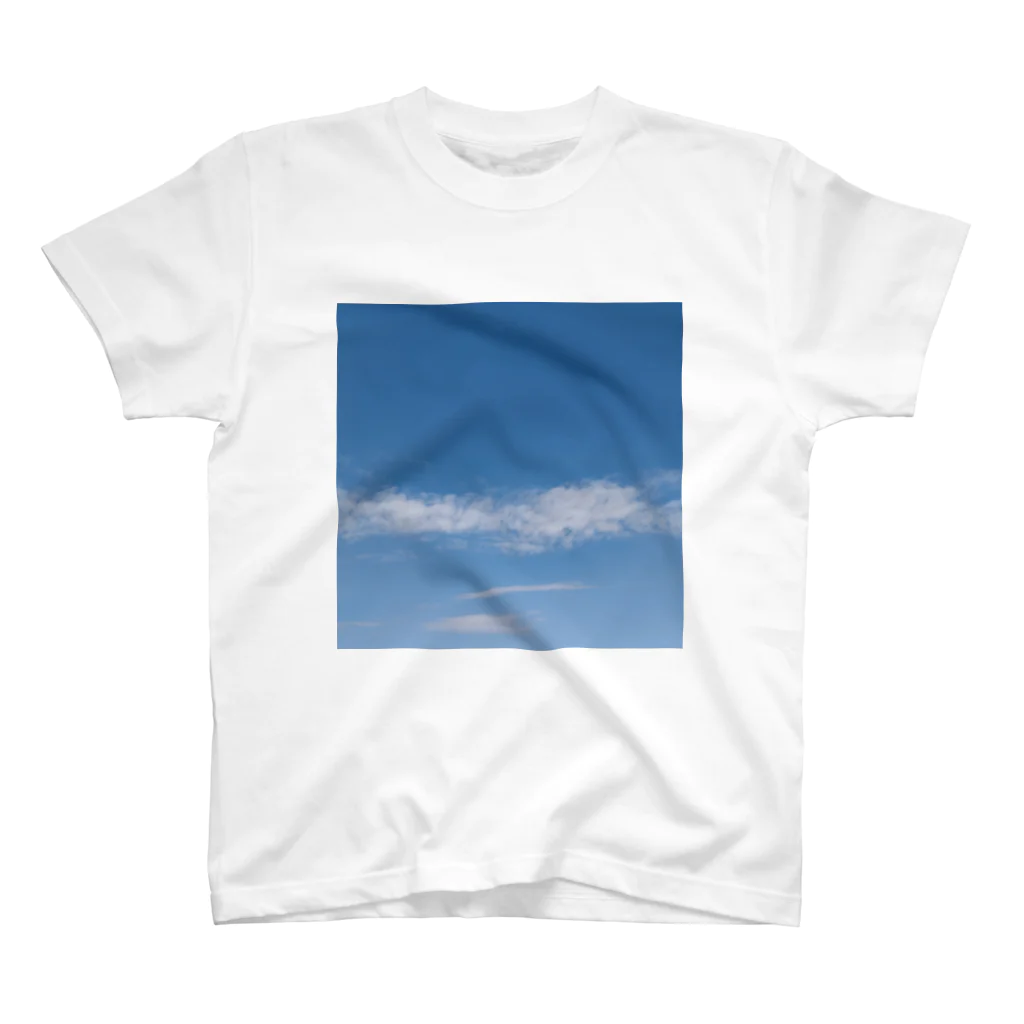 ナチュラルフラワーの青空 スタンダードTシャツ