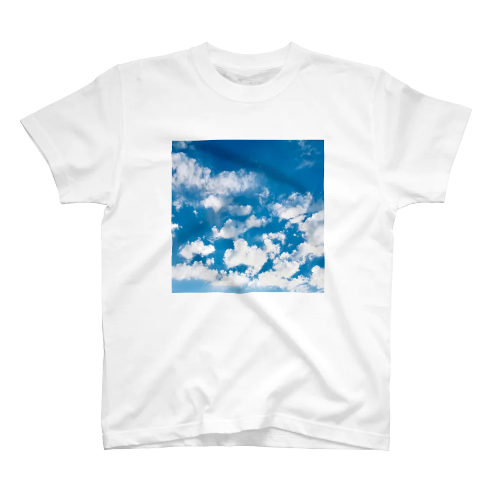 Fleurisseの清空 スタンダードTシャツ