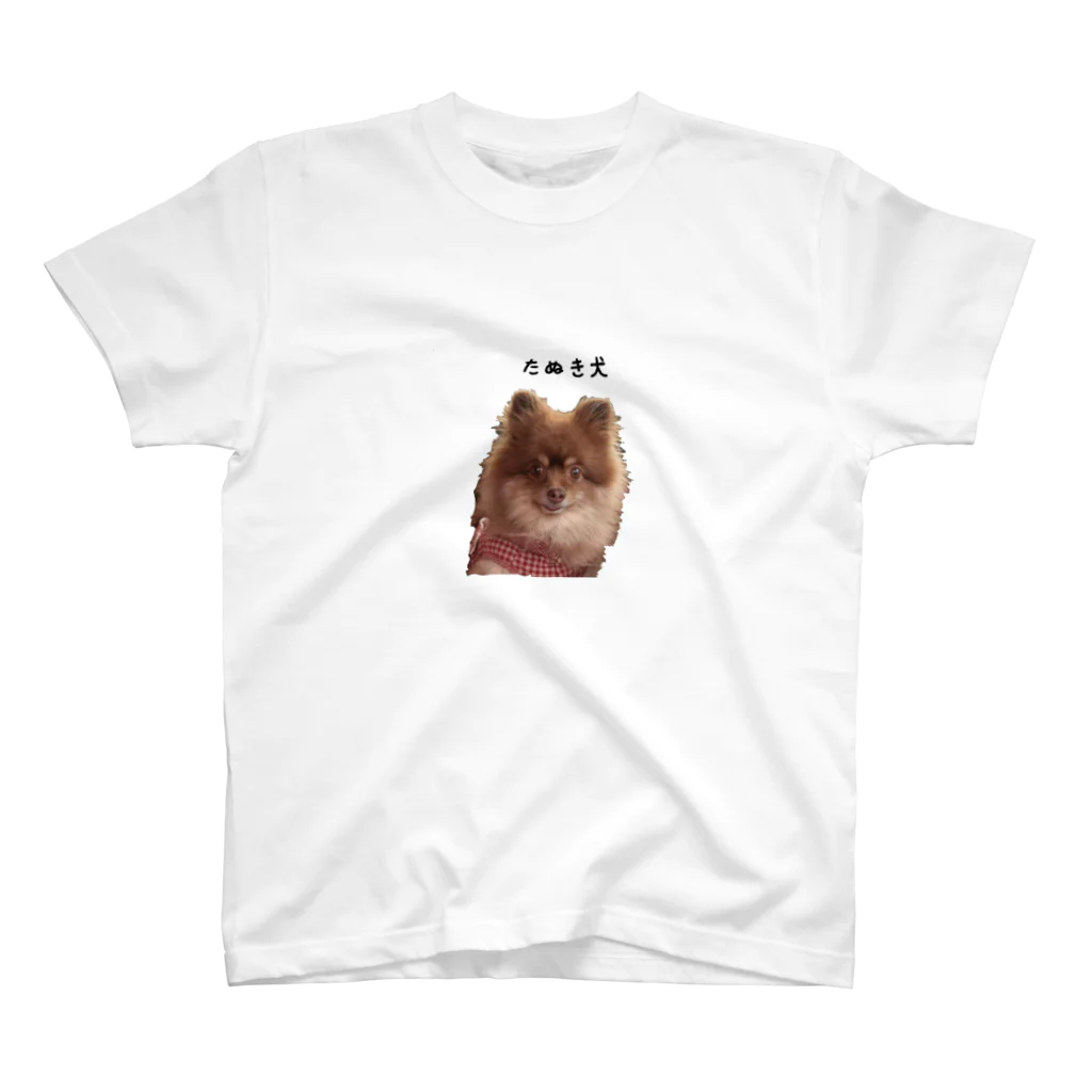 3（4？）わんのたぬき犬 スタンダードTシャツ