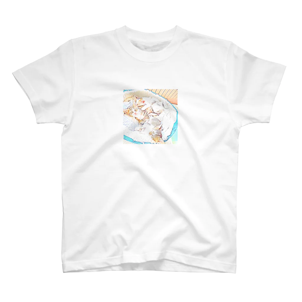 しあわせのひだまりの猫 スタンダードTシャツ