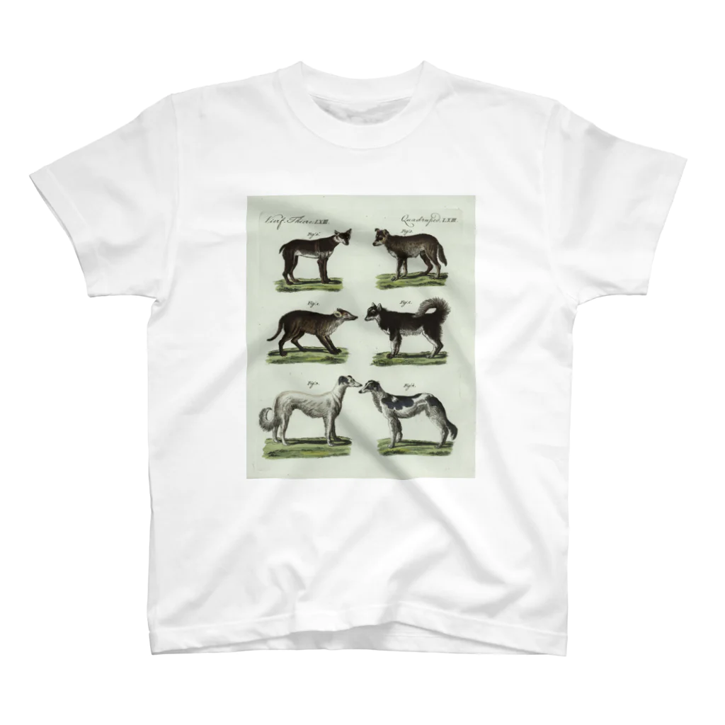 J. Jeffery Print Galleryの1802年ドイツの犬たち Regular Fit T-Shirt