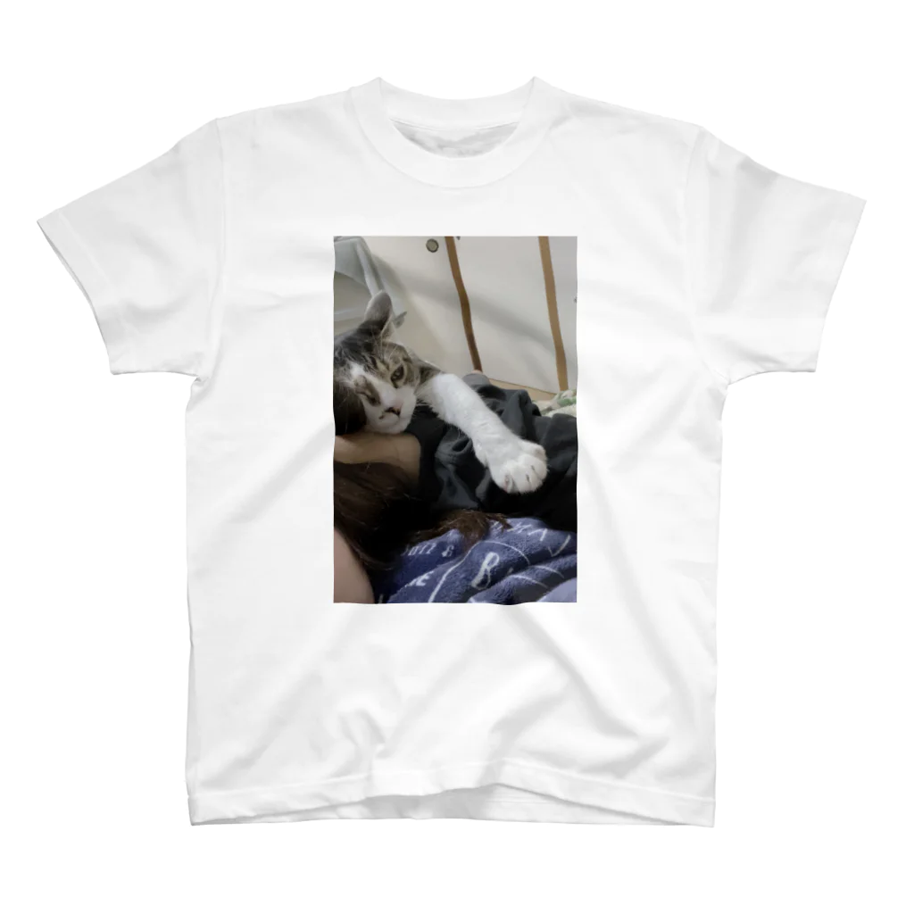 ‍るかのうちの猫 Regular Fit T-Shirt