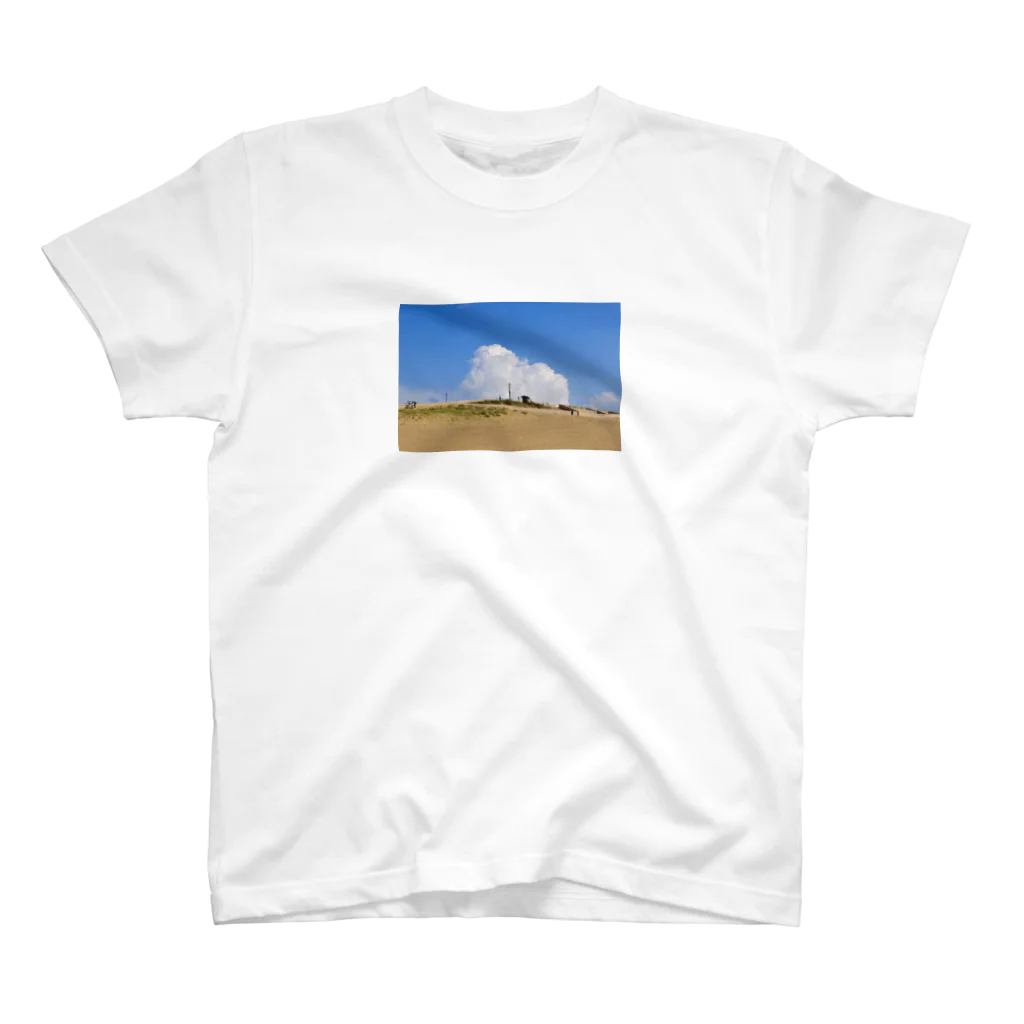 エモパカさんのSand Dunes スタンダードTシャツ