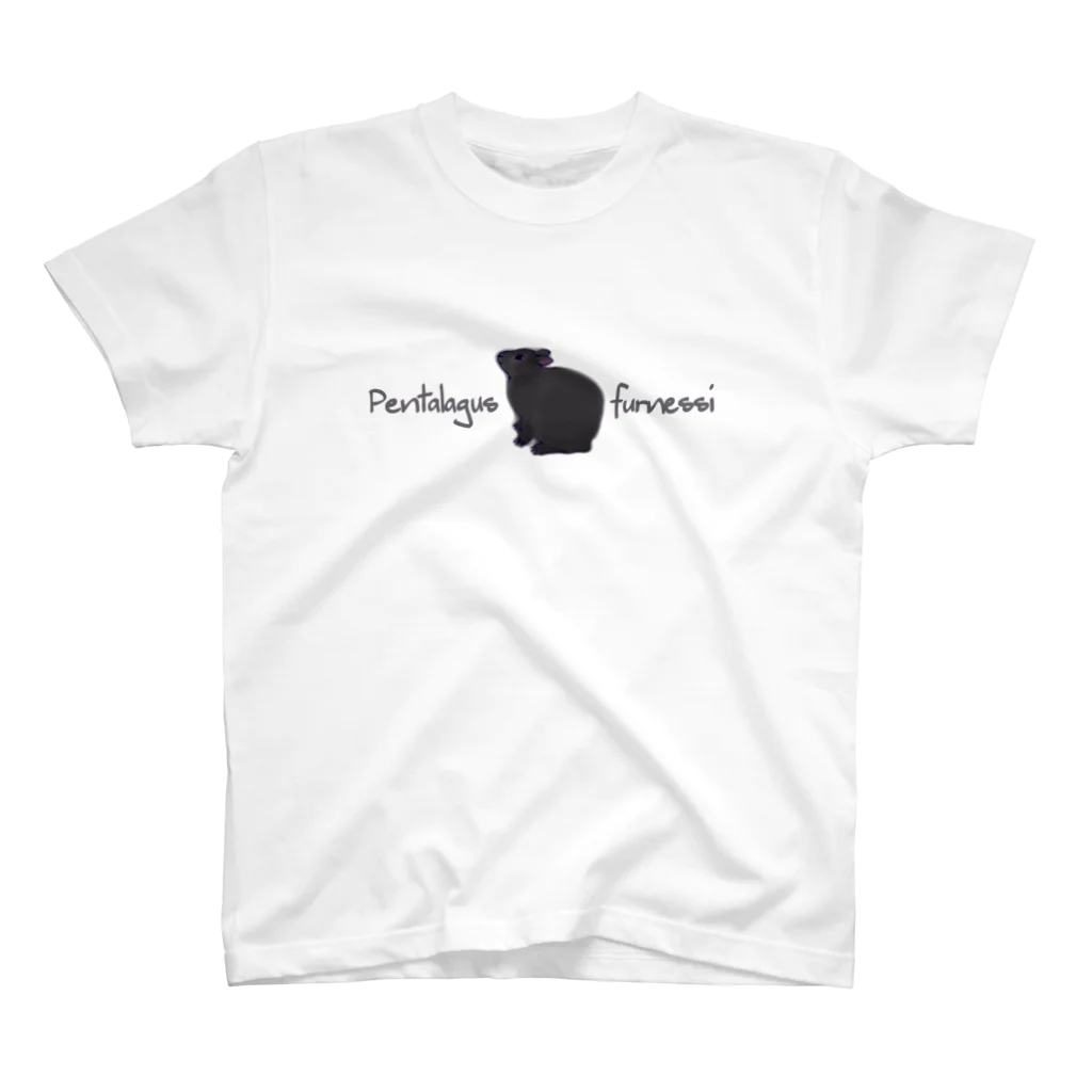 nonaのアマミノクロウサギPentalagus furnessi Regular Fit T-Shirt