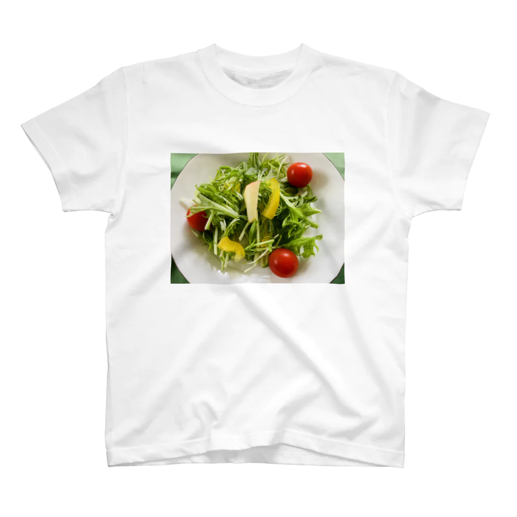 🌹DonDonHAPPYni🌹の🥗サラダ スタンダードTシャツ