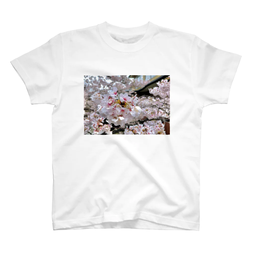 sceneryの桜 Regular Fit T-Shirt