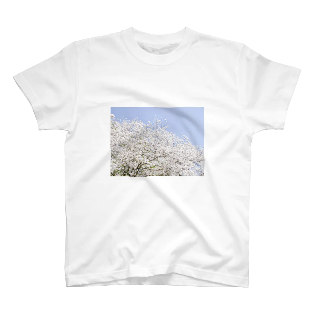 EMMAの桜 Regular Fit T-Shirt