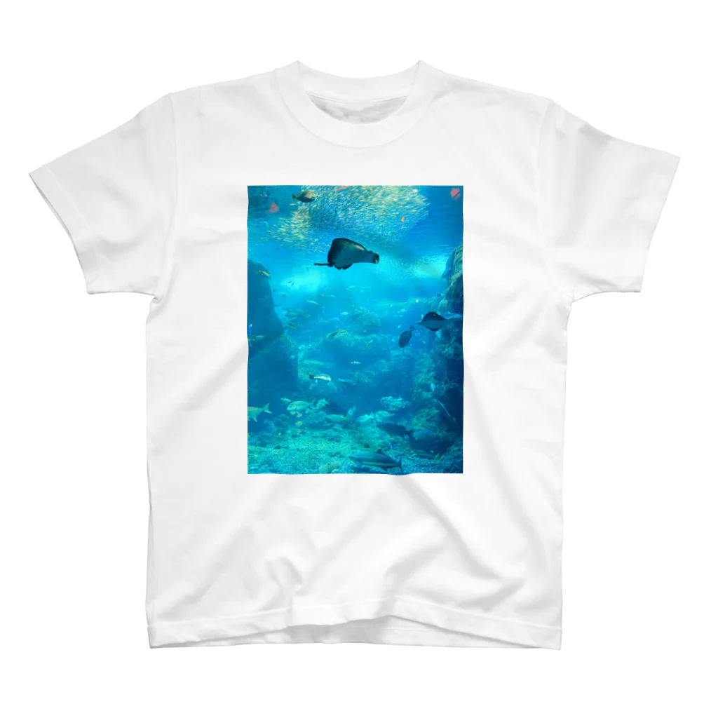 ゴリーメイソンの水惑星 Regular Fit T-Shirt