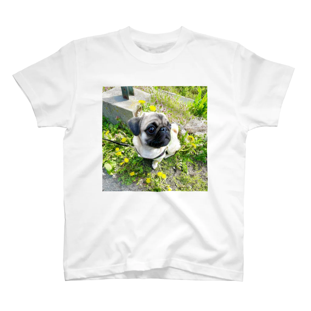 マンモスショップの犬の服 スタンダードTシャツ