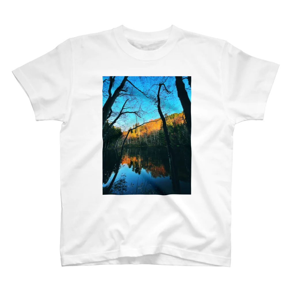 SwellのColor of the Forest スタンダードTシャツ