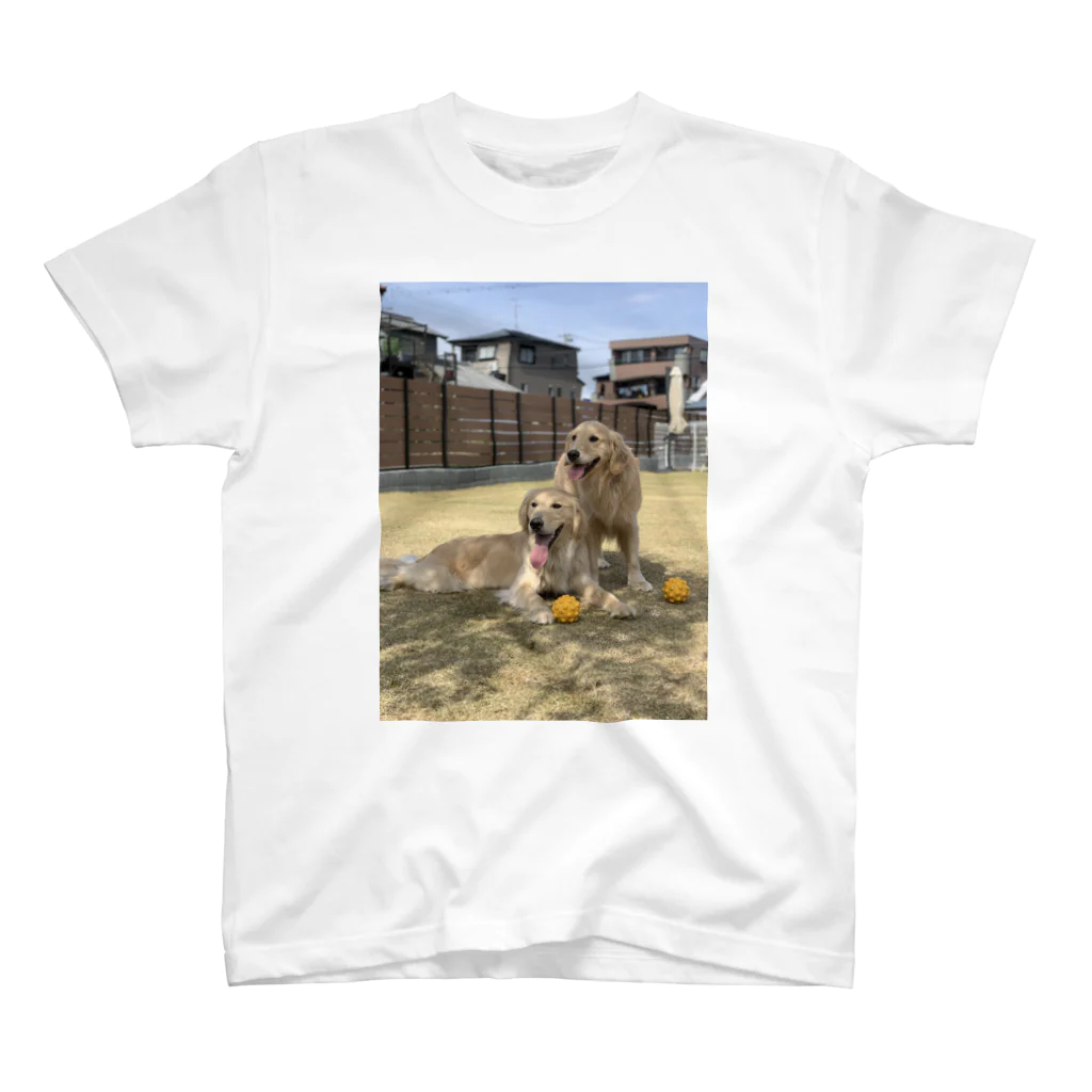 Golden Retriever Sarah&TaroのGolden Retriever Sarah&Taro2 Regular Fit T-Shirt