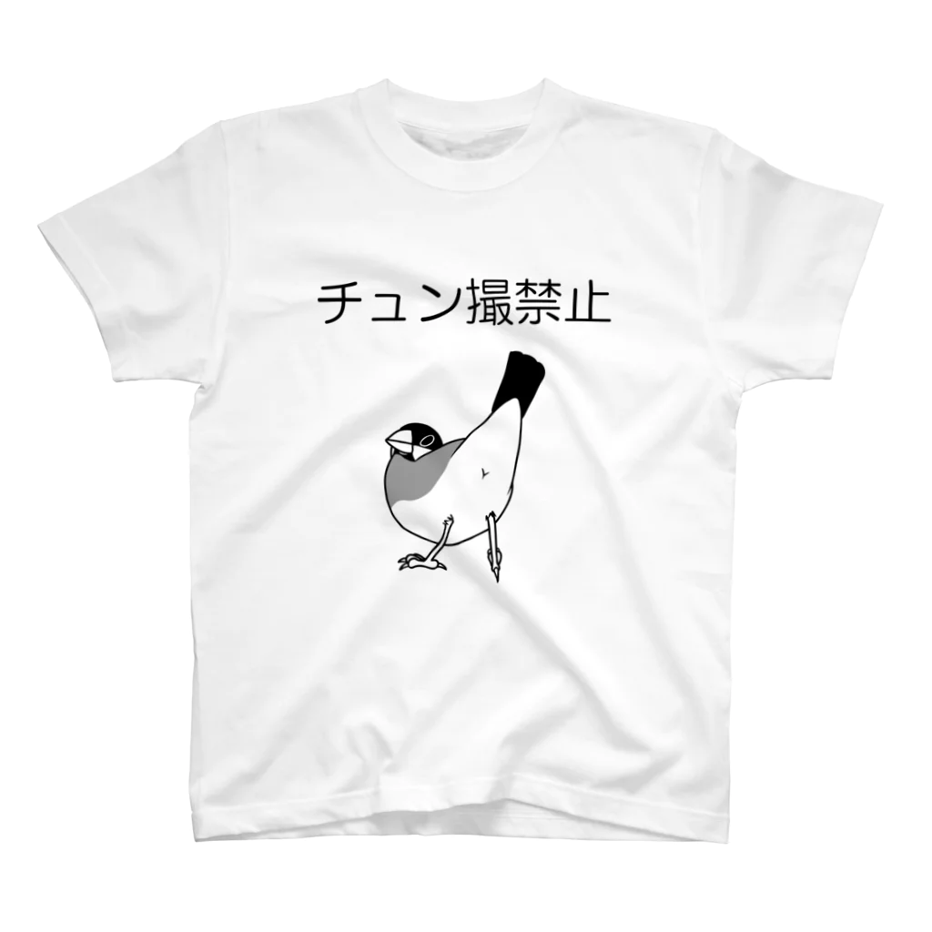 トモカピのチュン撮禁止 Regular Fit T-Shirt