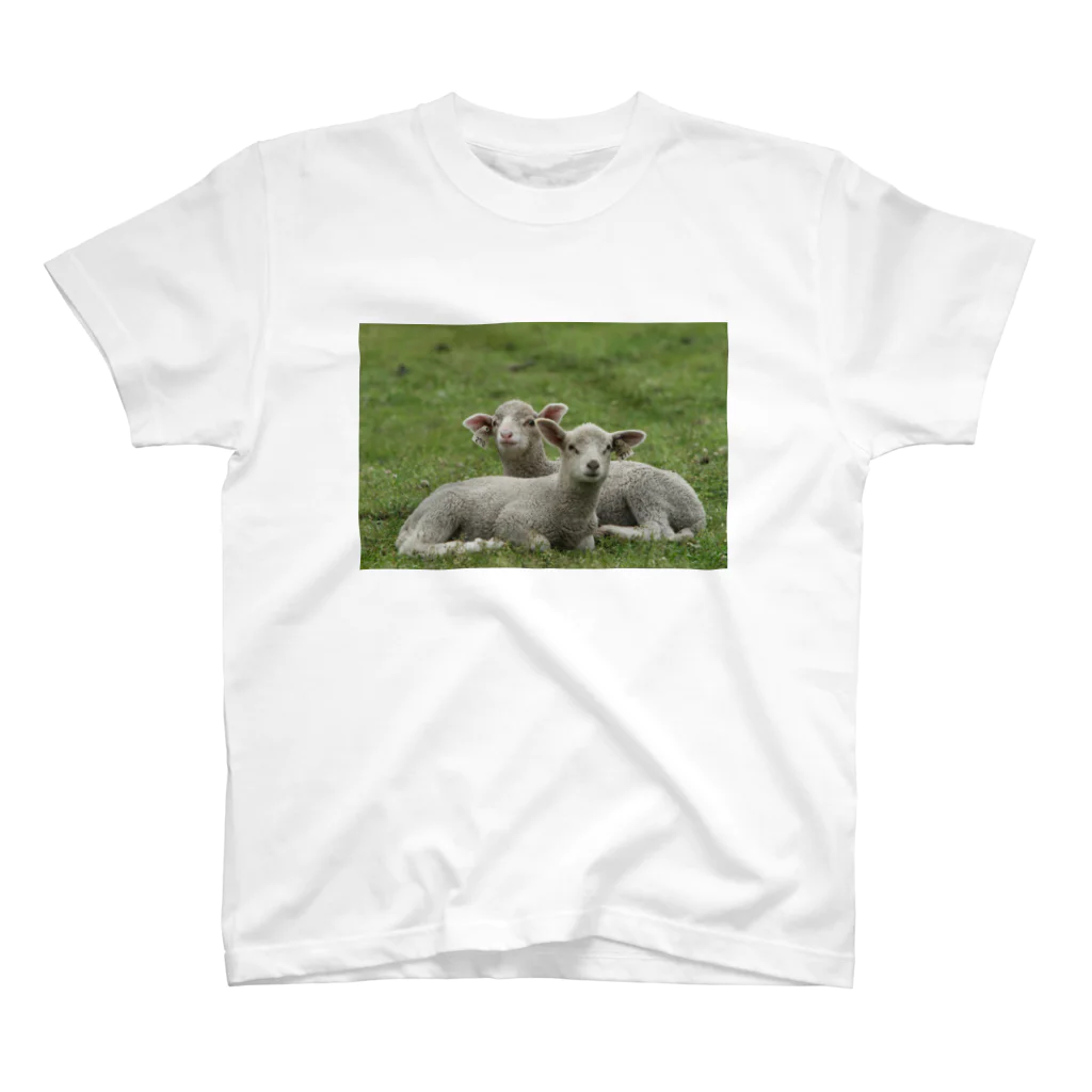 Erinorの草原羊 スタンダードTシャツ