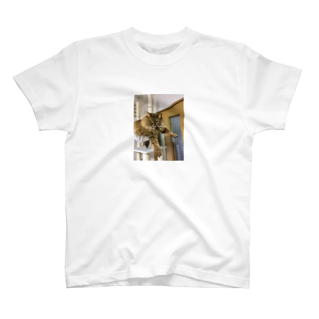 朝市のプラプラアポロ Regular Fit T-Shirt