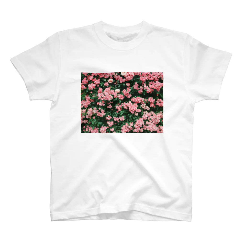 やまてるのROSE WALL Regular Fit T-Shirt