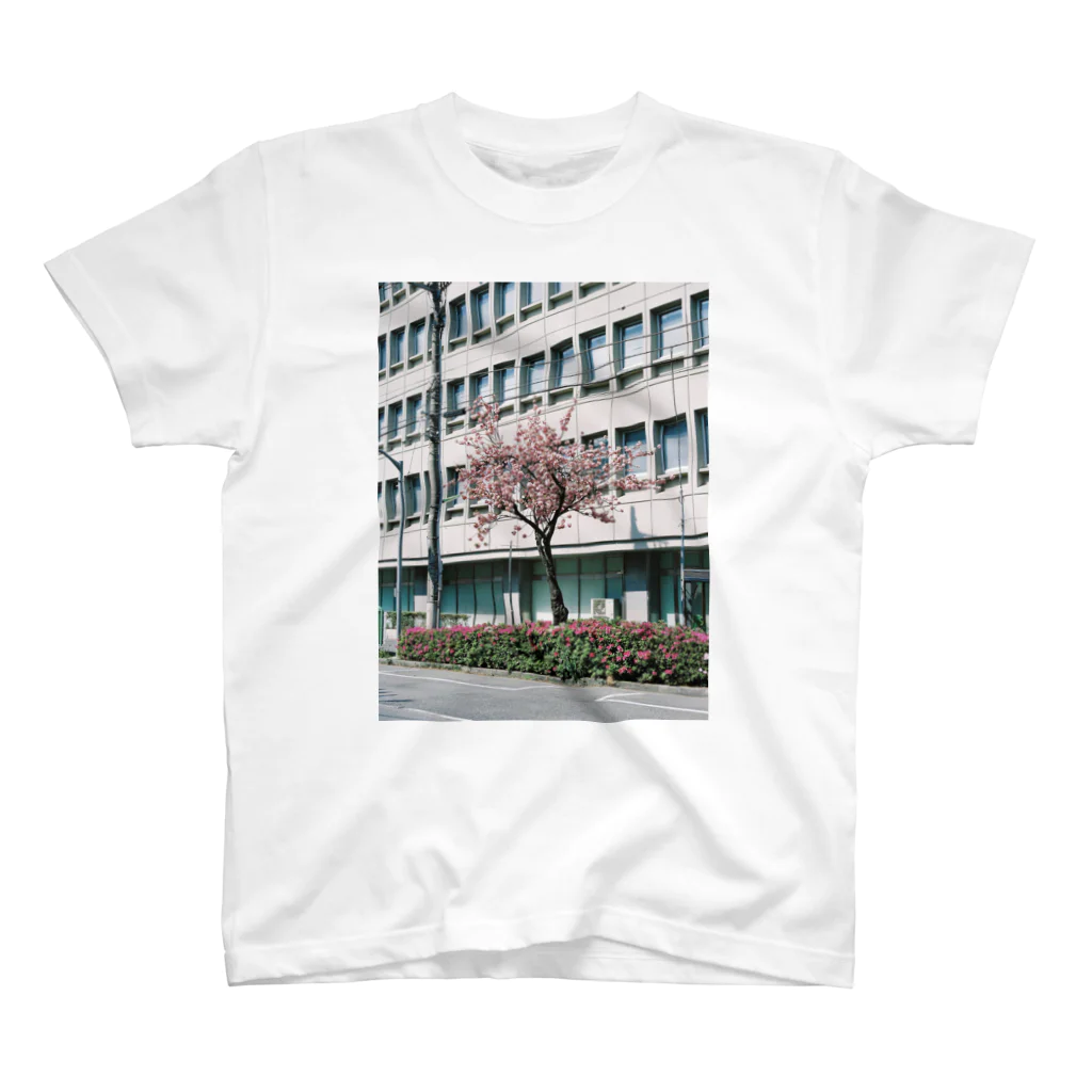 やまてるのdouble cherry blossom Regular Fit T-Shirt