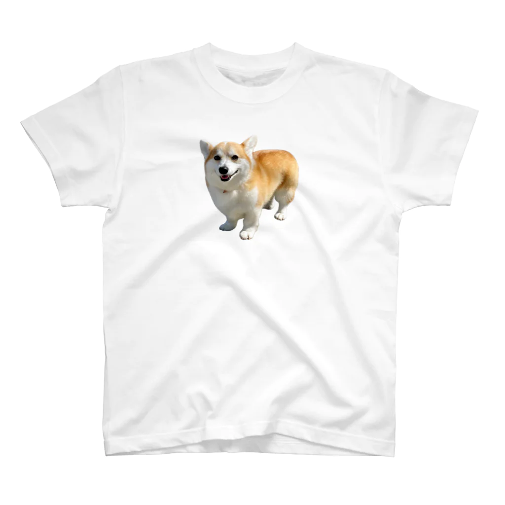 ガブちゃんのふかふか スタンダードTシャツ