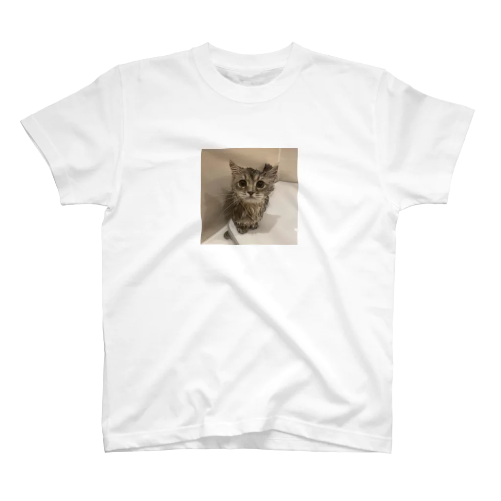 世界一可愛い猫グッズのおふろなぱるくん スタンダードTシャツ
