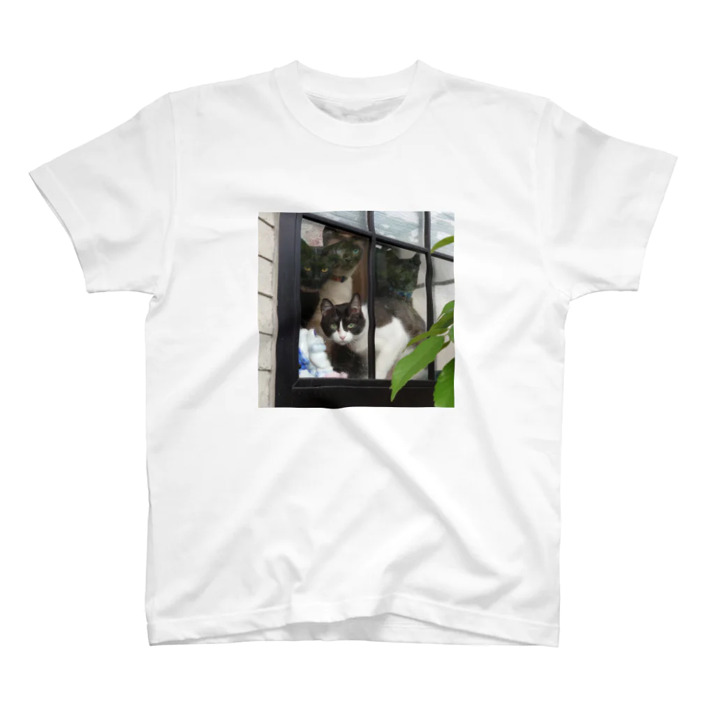 ショップ猫家族の猫家族 スタンダードTシャツ